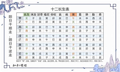 12長生|從零開始學易經：天干十二長生狀態